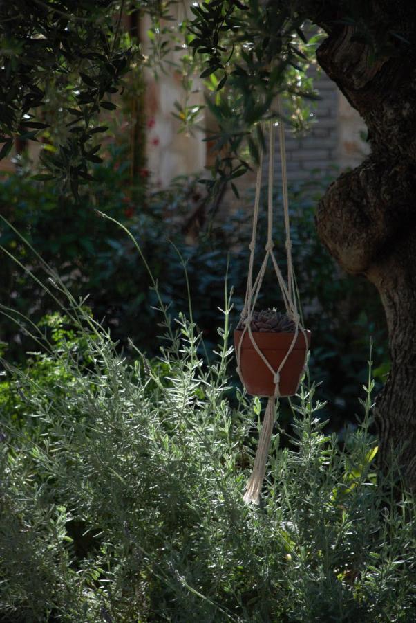Kalamákion Lioriza Country Houses מראה חיצוני תמונה